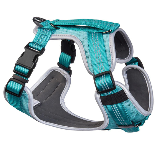 Embark Harness - Turquoise Medium