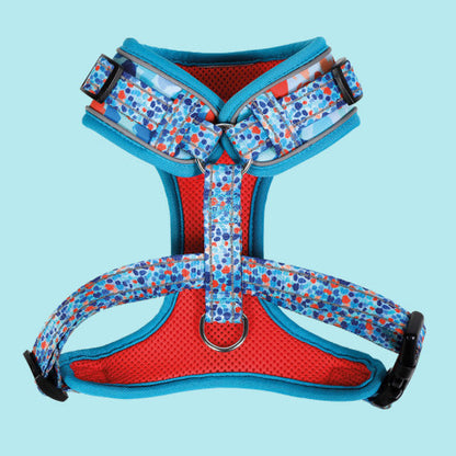 Doodlebone Harness - Reef - 1-2