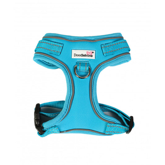 Doodlebone Harness - Aqua - 1-2