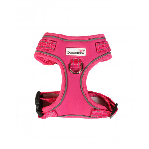 Doodlebone Harness - Fuchsia - 1-2